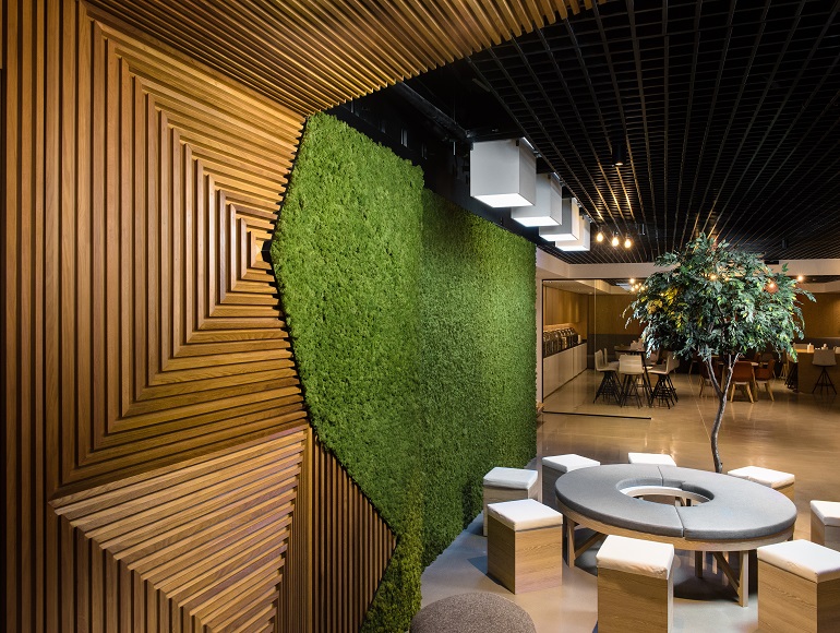 Commercial Fit Out Green Wall