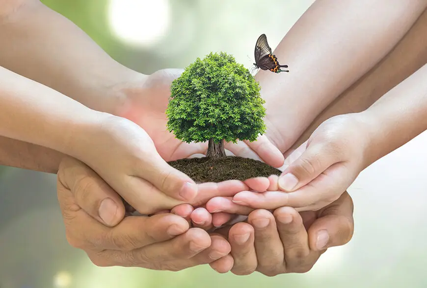 environment friendly
