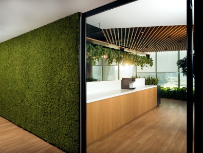 office fit out in Dubai with a green wall