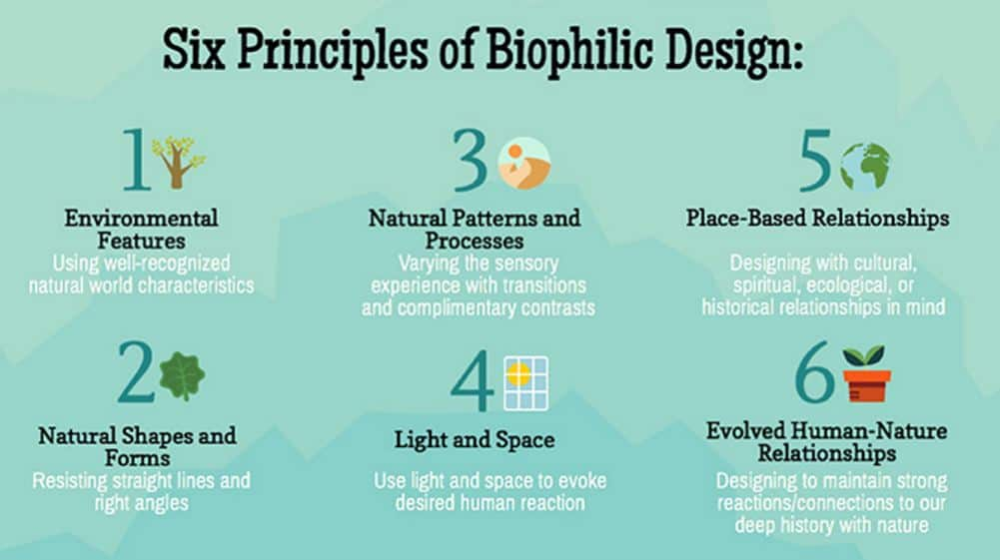 Biophilia in Office Fit Out and Design | Why No Longer a Trend?