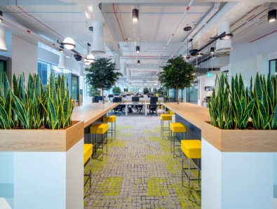 Office Interior Fit Out with Plants