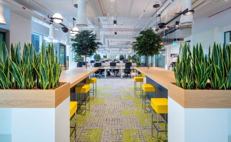 Biophilic Design - Indoor Plants within the Office Space