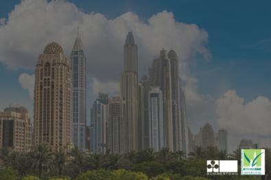 Summertown and Emirates Green Building Council partnership announcement with Dubai Marina skyline in the background, symbolising sustainable progress in the UAE’s built environment.