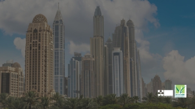 Summertown and Emirates Green Building Council partnership announcement with Dubai Marina skyline in the background, symbolising sustainable progress in the UAE’s built environment.